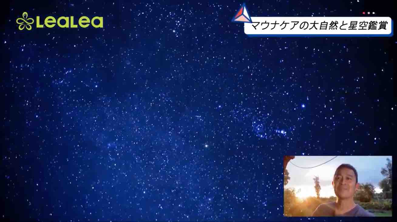 バーチャルツアーまたやります ディープ ハワイ ツアーズ